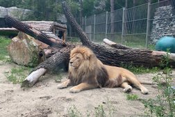 Новосибирский зоопарк им. Р.А. Шило, с рейтингом 4.4 - находится по адресу Новосибирск, улица Тимирязева, 71/1 