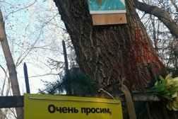 Комбинат специальных услуг Старо-Восточное кладбище, с рейтингом 1.5 - находится по адресу Омск, улица 10 лет Октября, 208а 