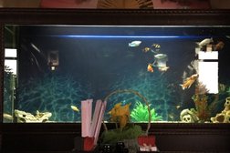 Ресторан японской кухни Wasabi, с рейтингом 4 - находится по адресу Республика Ингушетия, Магас, улица Никиты Хрущёва, 1 