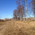 фотография СберМобайл
