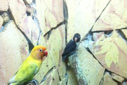 Зоомагазин Зеленый попугай, с рейтингом 2.4 - находится по адресу Московская область, Балашиха, шоссе Энтузиастов, 1 