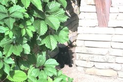 Магазин кулинарии Мокко, с рейтингом 3.2 - находится по адресу Республика Башкортостан, Уфа, 50 лет СССР, 43 