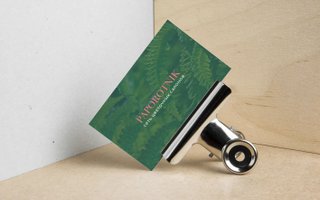 фотография работы фрилансера Кристины Антиповой