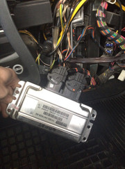 Мастер по ремонту автомобильной электроники, автомеханик Алексей Седых