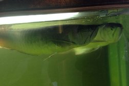 Пекинские бани