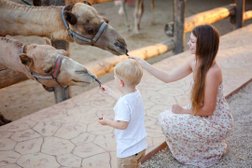 Туристическое агентство Солнечный Апельсин, с рейтингом 3 - находится по адресу Санкт-Петербург, Комендантский проспект, 17к1 