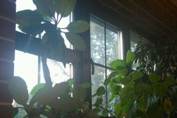The Loft