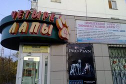 Зоомагазин Zoo_City, с рейтингом 3 - находится по адресу Нур-Султан, Мәскеу, 29 