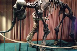 Таймырский краеведческий музей, с рейтингом 3.7 - находится по адресу Красноярский край, Дудинка, Советская, 30 