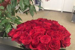 Отдел выдачи электронных подписей Объединенные криптосистемы, с рейтингом 4 - находится по адресу Республика Карелия, Петрозаводск, Заводская улица, 5 