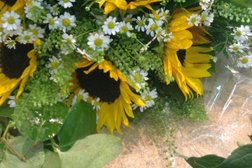 Цветочный салон Гармония-Флора, с рейтингом 4.6 - находится по адресу Москва, Кутузовский проспект, 5 