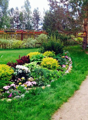 Благоустройство территории, ландшафтный дизайнер Анна Сергеевна Четыркина