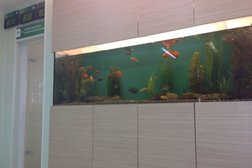 СберБанк, с рейтингом 2.7 - находится по адресу Екатеринбург, улица Тверитина, 34 