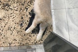 Зоомагазин Четыре Лапы, с рейтингом 4.5 - находится по адресу Владимир, улица Гагарина, 5а 