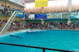 Геленджикский Дельфинарий, с рейтингом 3.6 - находится по адресу Краснодарский край, Геленджик, Геленджикский проспект, 130 