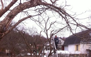 фотография работы специалиста Алексея Игоревича Басалаева