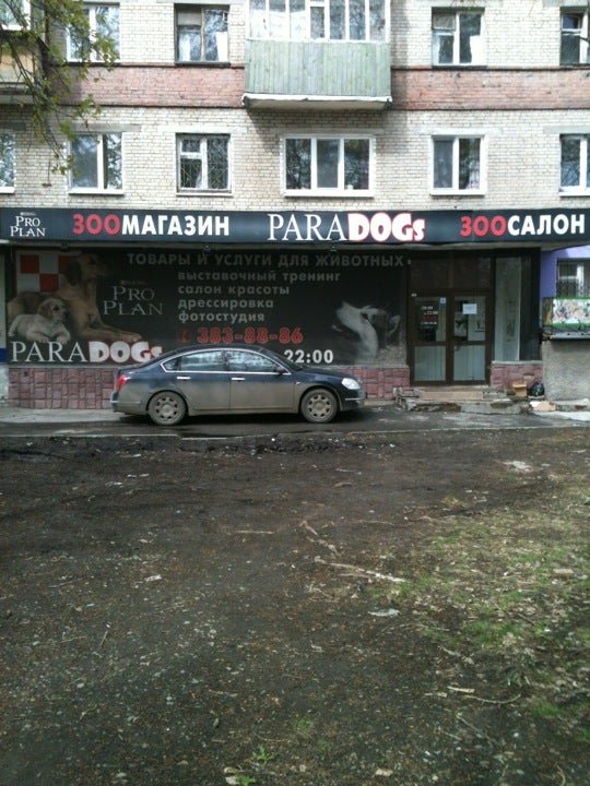 Paradogs, Екатеринбург, улица Чапаева. Paradogs.