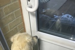 Ветеринарная клиника Доктор А, с рейтингом 3.2 - находится по адресу Иркутск, улица Карла Либкнехта, 107а 