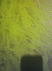 Мастер по оклейке обоев, маляр-штукатур Дмитрий Валерьевич Шпагин