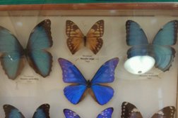 Историко-художественный музей