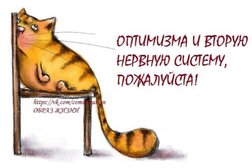 Магазин корейских автозапчастей и автотоваров Кореана, с рейтингом 3 - находится по адресу Санкт-Петербург, проспект Народного Ополчения, 201 