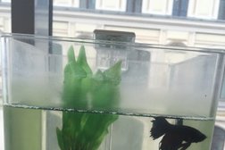 Турагентство Tez Tour, с рейтингом 3 - находится по адресу Москва, Никольская улица, 25 