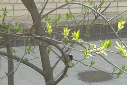 Детский сад №328 Центрального района Волгограда, с рейтингом 3 - находится по адресу Волгоград, Двинская улица, 16 