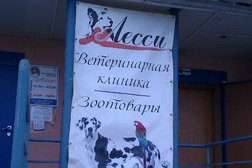 Ветеринарная клиника Лесси, с рейтингом 4.1 - находится по адресу Челябинск, Комсомольский проспект, 13 