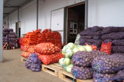 Универсальный рынок Репный, с рейтингом 2.8 - находится по адресу Воронежская область, пос. Отрадное, Придорожная улица, 28а/1 