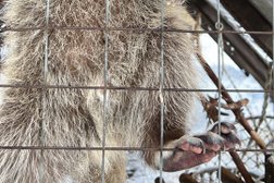 Отель Busel park hotel, с рейтингом 2 - находится по адресу Владимирская область, д. Красный Огорок, Центральная улица, 39 