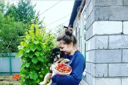 Аптека Вита Экспресс, с рейтингом 4.3 - находится по адресу Самара, бульвар Ивана Финютина, 45 