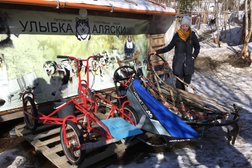 Питомник ездовых собак Улыбка Аляски, с рейтингом 4.5 - находится по адресу Мурманская область, пгт Молочный, Автодорога Мурманск-Аэропорт 5 км, 1 