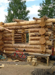 Плотник Олег Григорьевич Другалев