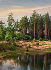 Художник Валерий Николаевич Ниминущий