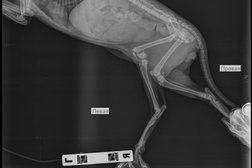 Ветеринарная клиника Зоодоктор, с рейтингом 2.1 - находится по адресу Екатеринбург, улица Миномётчиков, 30 