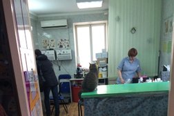 Ветеринарная клиника на 9-й линии, с рейтингом 3.5 - находится по адресу Омск, улица 9-я линия, 172 