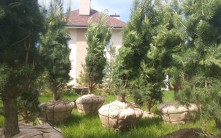 фотография работы специалиста по ремонту Ильдара Абдулловича Уразгильдеева