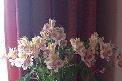 Центр отдыха и здоровья Роял Парк, с рейтингом 2.1 - находится по адресу Владивосток, улица Маковского, 65 