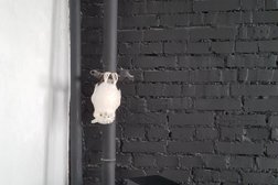 Школа танцев My pole space, с рейтингом 4.5 - находится по адресу Санкт-Петербург, Курская улица, 28 