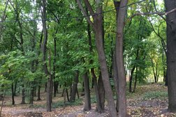 Парк Динамо, с рейтингом 4.1 - находится по адресу Воронеж, Ленина, 10 