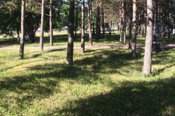 Диона, с рейтингом 3 - находится по адресу Нур-Султан, Жумабека Ташенова, 23 