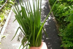 Компания по продаже и прокату звукового оборудования Deepsound.pro, с рейтингом 5 - находится по адресу Челябинск, проспект Ленина, 55а 