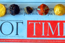 Газета Юг times, с рейтингом 2 - находится по адресу Краснодар, улица Коммунаров, 268 лит В 