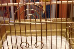 Ресторан Hurma, с рейтингом 3.7 - находится по адресу Ханты-Мансийский автономный округ, Сургут, проспект Мира, 31/1 