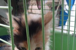 Приют для животных Лучший друг, с рейтингом 2.6 - находится по адресу Ставрополь, проспект Кулакова, 9/4 