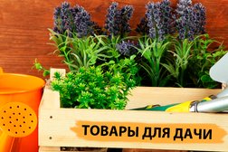 Магазин Наша dacha, с рейтингом 3.9 - находится по адресу Воронеж, улица Землячки, 21/2 