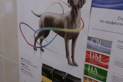 Ветеринарная клиника Кот+пес, с рейтингом 3.8 - находится по адресу Новороссийск, улица Дзержинского, 136 