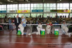 Питомник бобтейлов Из бело-голубых ангелов, с рейтингом 5 - находится по адресу Москва, Алма-Атинская улица, 3 к2 