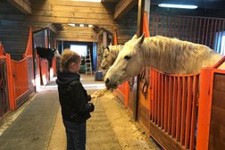 Питомник К-9, с рейтингом 2.6 - находится по адресу Иркутск, Карпинская улица, 125 