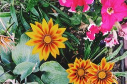 Супермаркет ВкусВилл, с рейтингом 2.9 - находится по адресу Московская область, Химки, улица Калинина, 7 